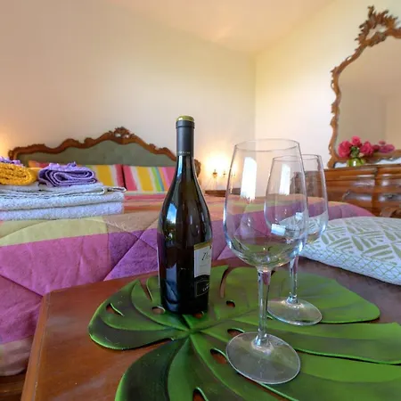 Panorami Sul Trasimeno